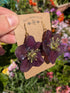 REAL HELLEBORUS FLOWER EARRINGS
