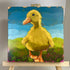 Yellow Duckling - Original Acrylic Painting