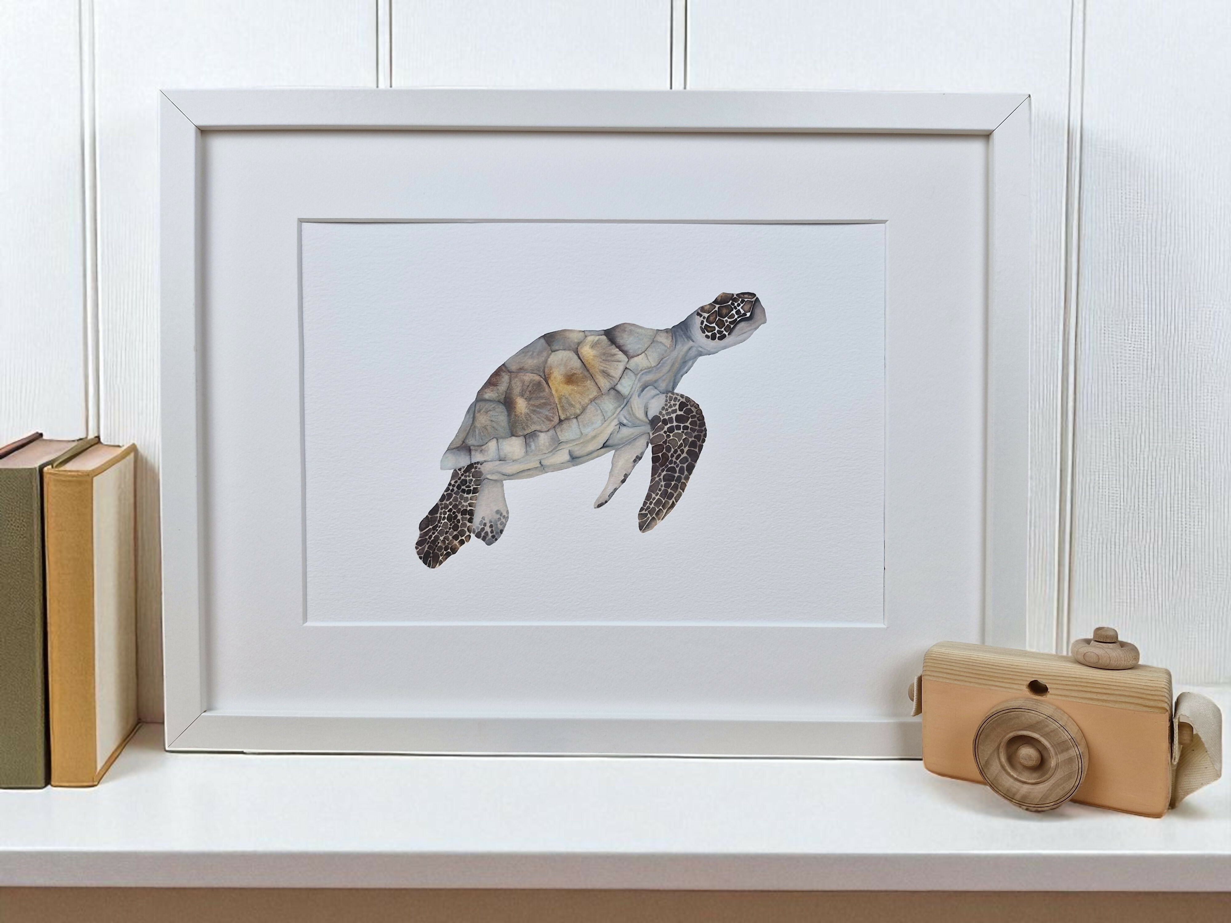 Turtle Giclée print