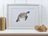 Turtle Giclée print