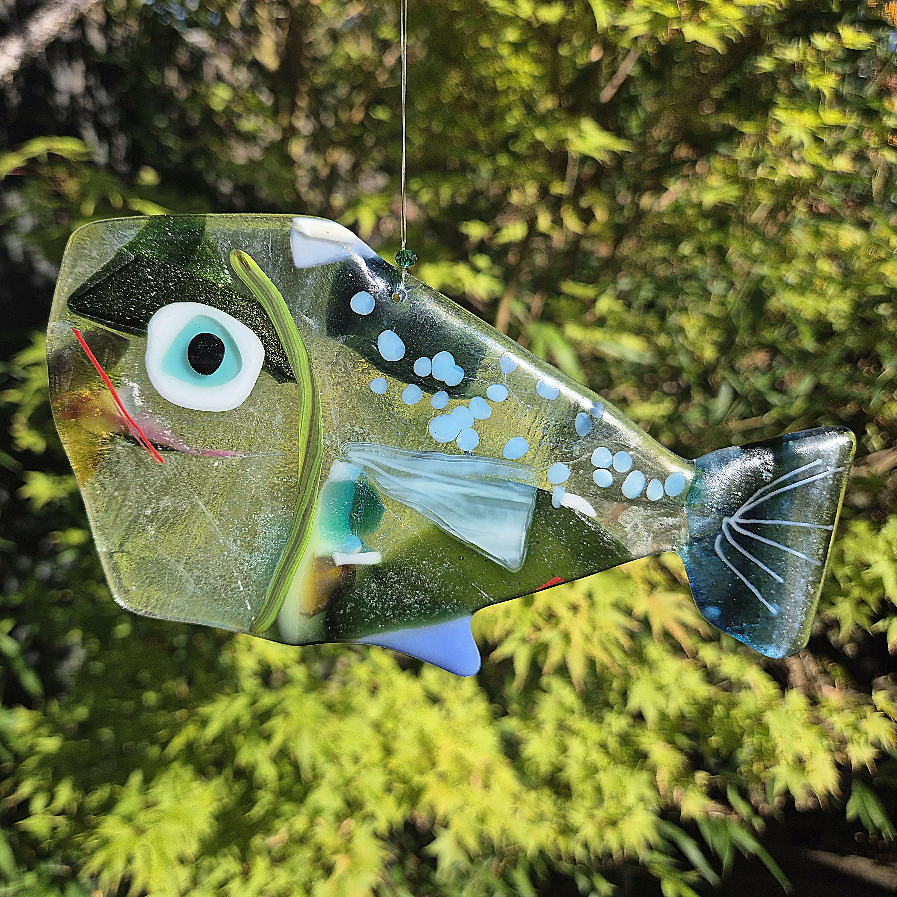 Blue Tail Funny Fish