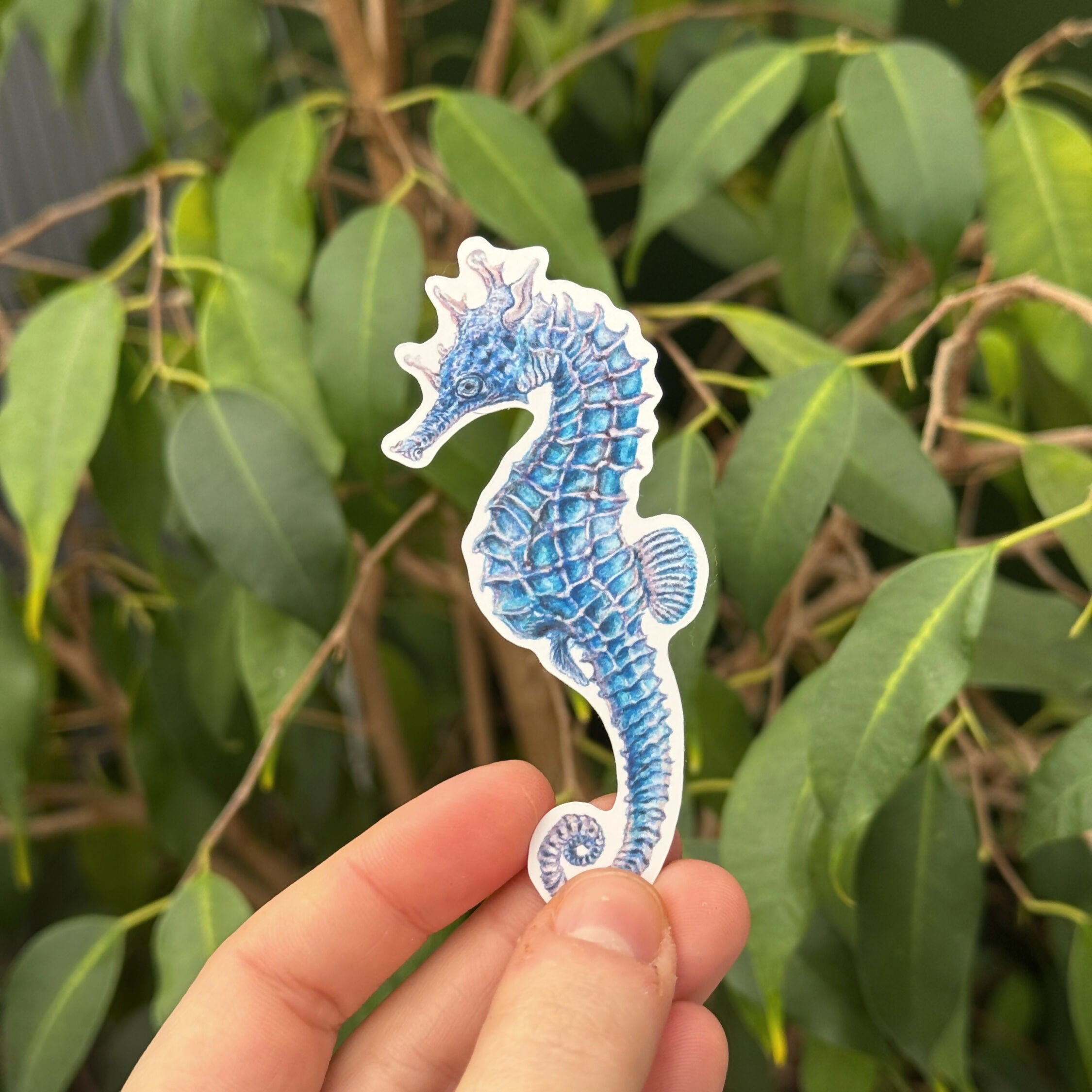 Swimming Seahorses - Gloss Sticker Pack