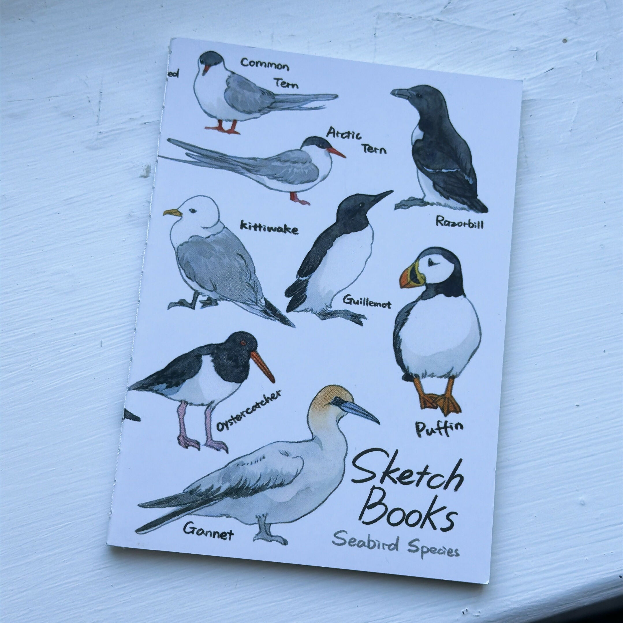 A6 Notebook 48 pages-seabirds，penguin，museum，butterfly