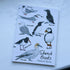 A6 Notebook 48 pages-seabirds，penguin，museum，butterfly