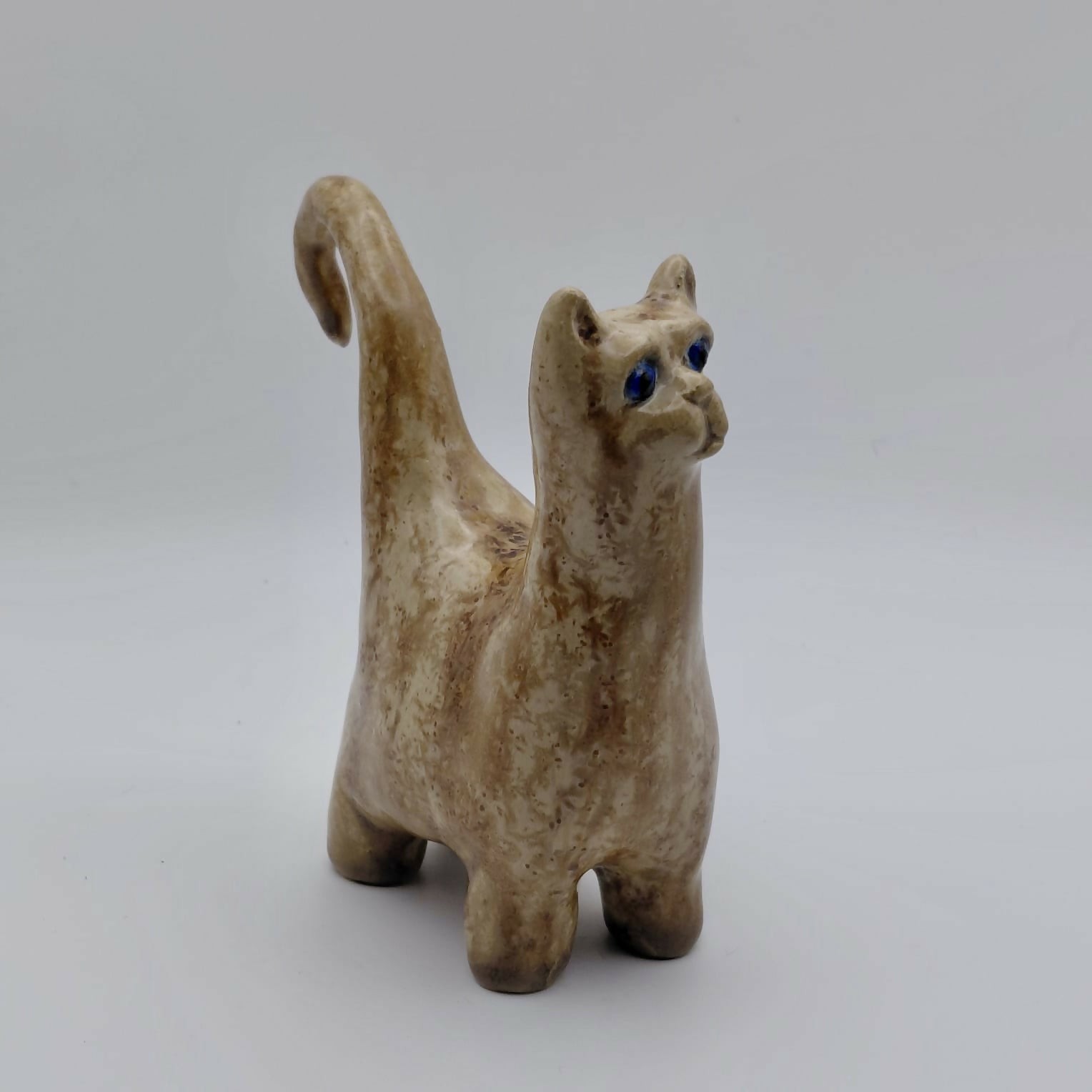 Earthlight Cat