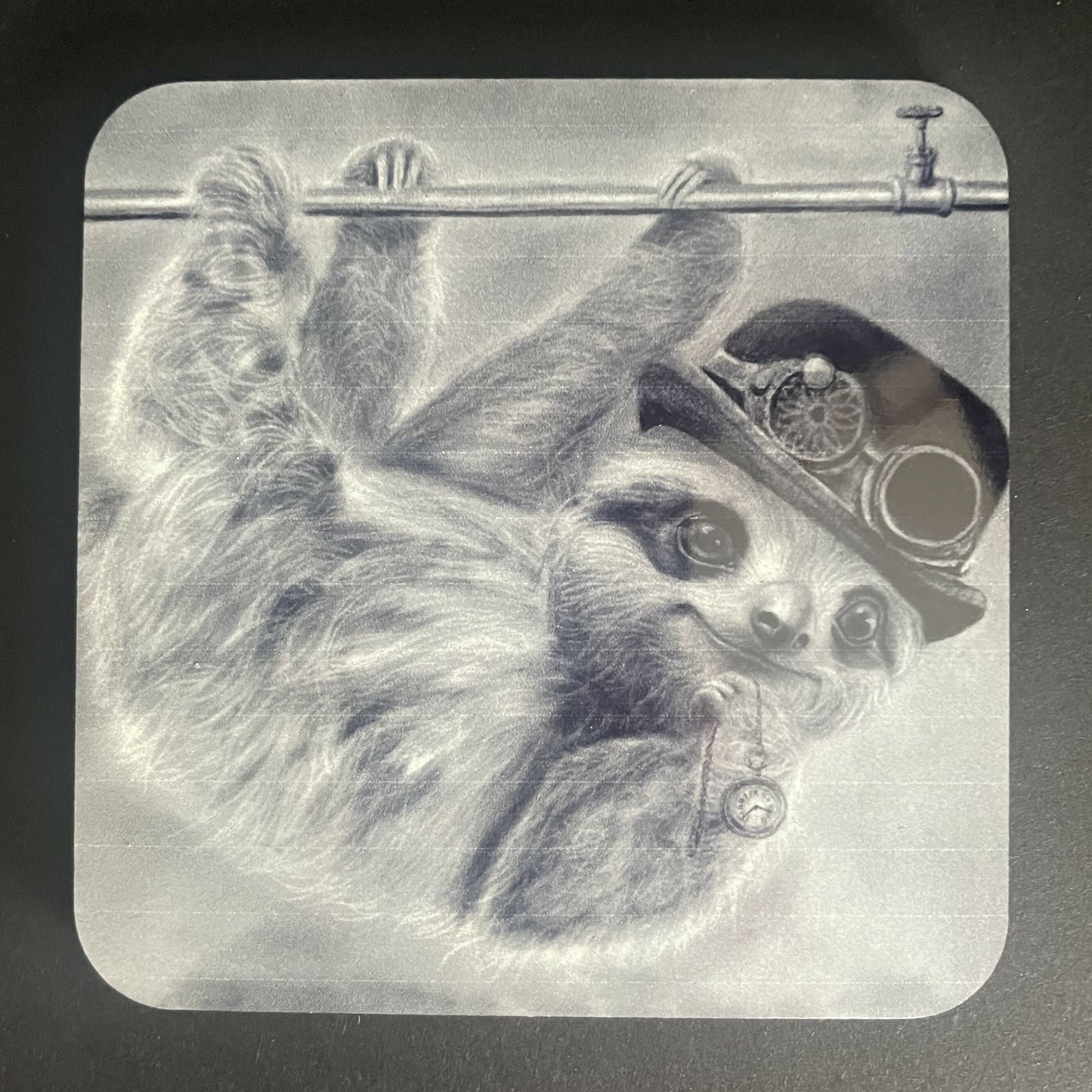 sloth