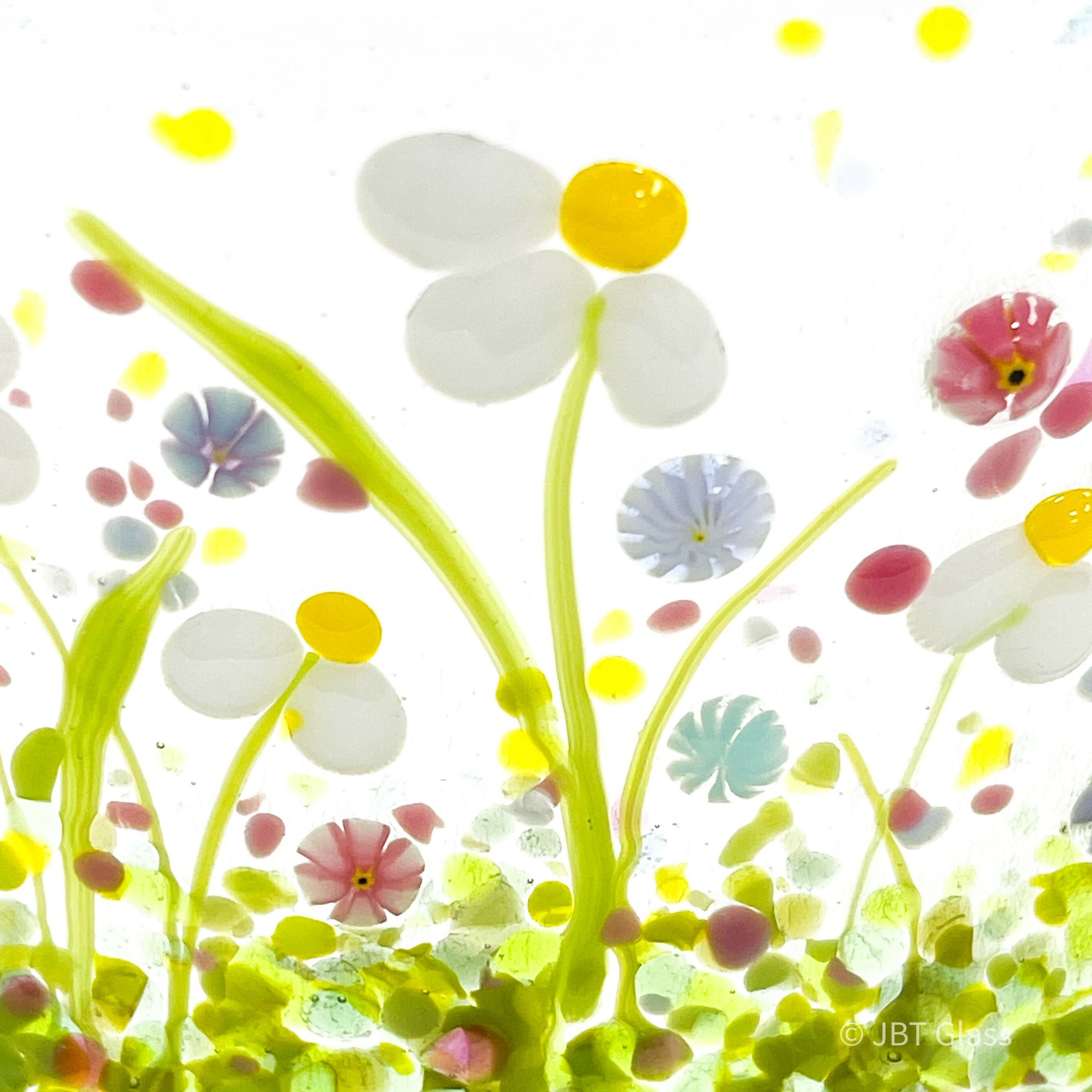 Spring Daisy NMW