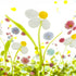 Spring Daisy NMW