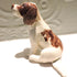 Ceramic Springer Spaniel dog sculpture, Liver and white