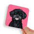 Shih Tzu Black and White Chin Dog Coaster