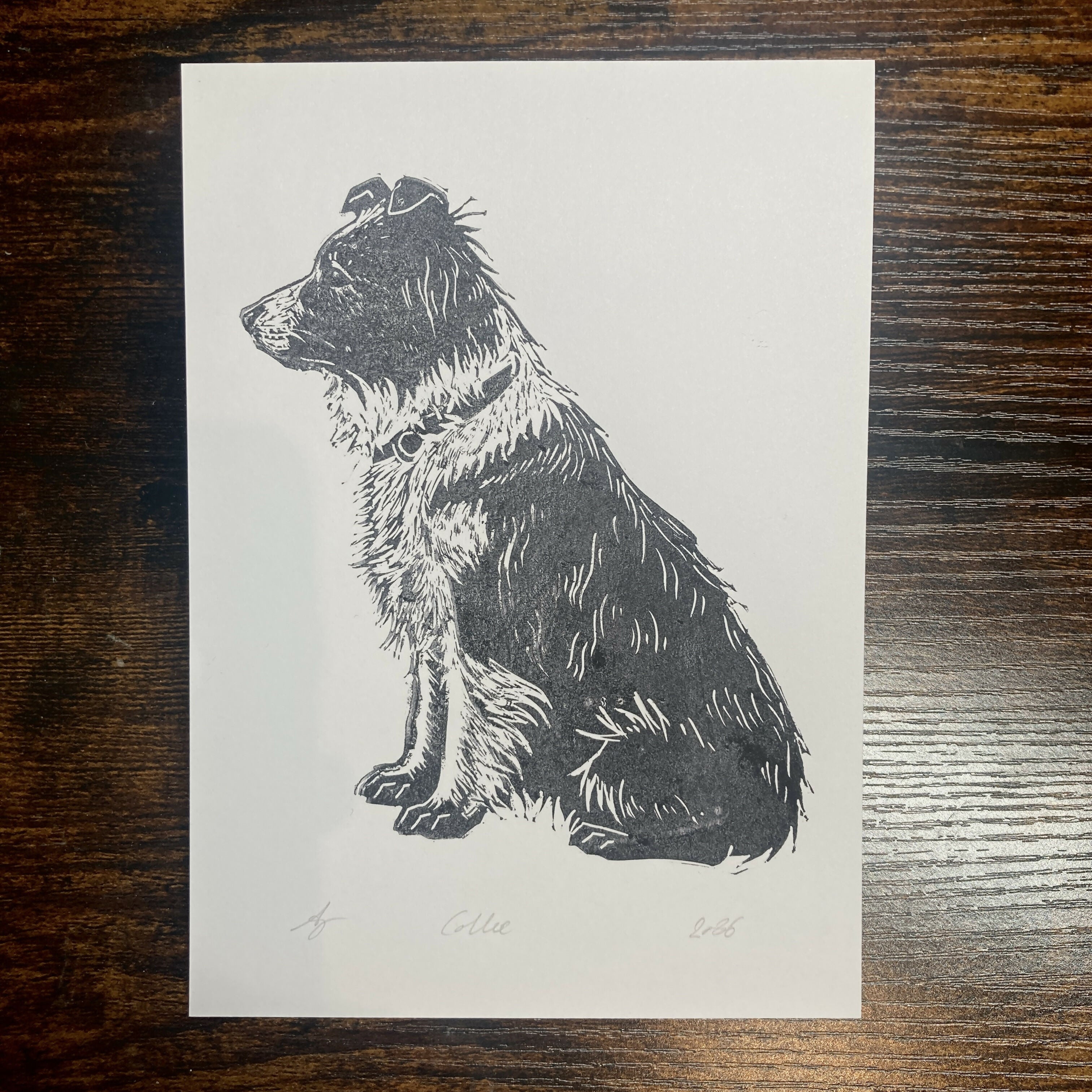 Collie - 5x7