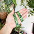 Botanic Lanyard | Stylish Nature Lovers | Art & Soul