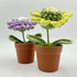 Pastel Coloured Crochet Sunflower in Faux Terracotta Pot