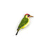Green Woodpecker Pin Badge