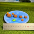 Capybara Swimming Trinket Dish
