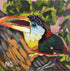 Toucan - Framed Original Acrylic Painting