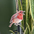 Robin - Decoration - Set of 5