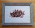 Real Pressed Seaweed Framed Art