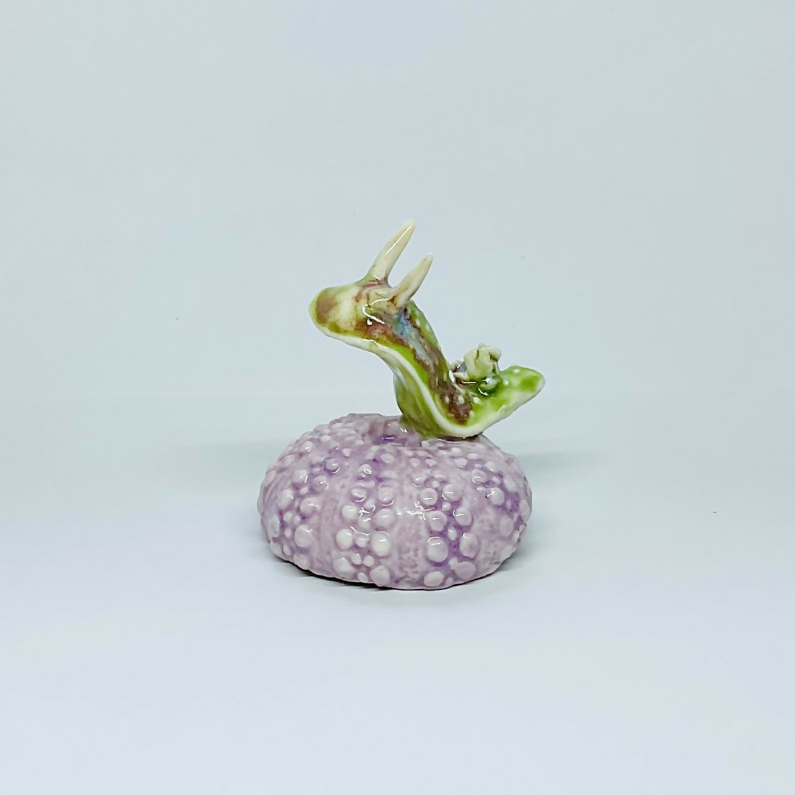 Porcelain Pink Sea Urchin with Sea Slug