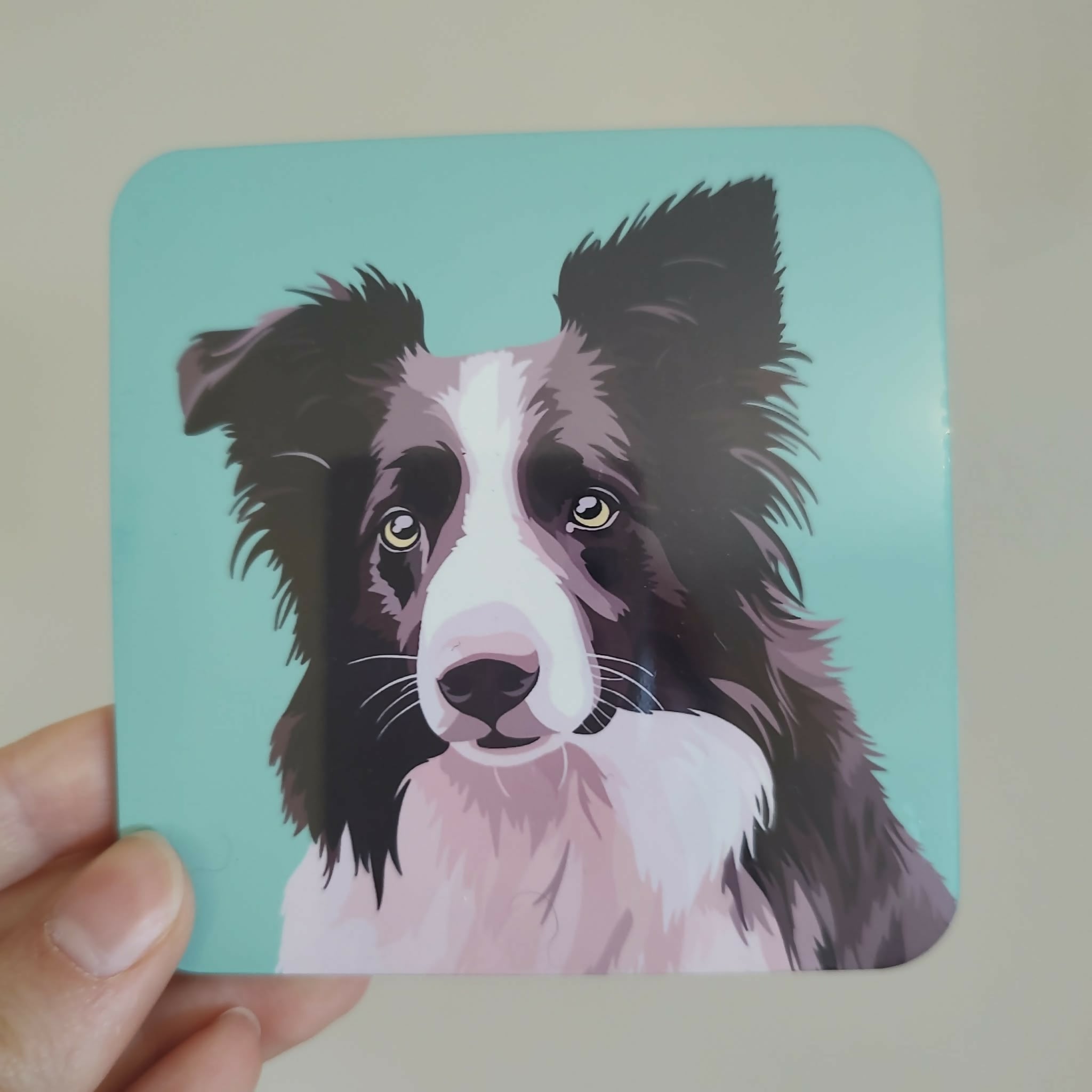 Collie Black and White Sheep Dog Green Coaster