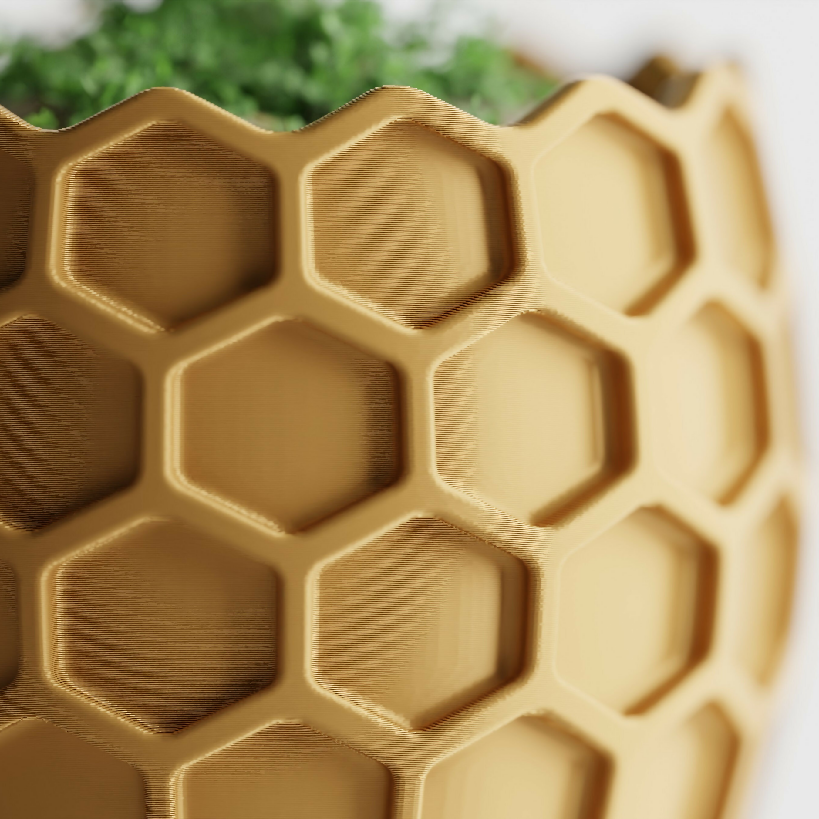 Beehavia Planter