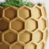 Beehavia Planter