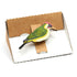 Green Woodpecker Pin Badge