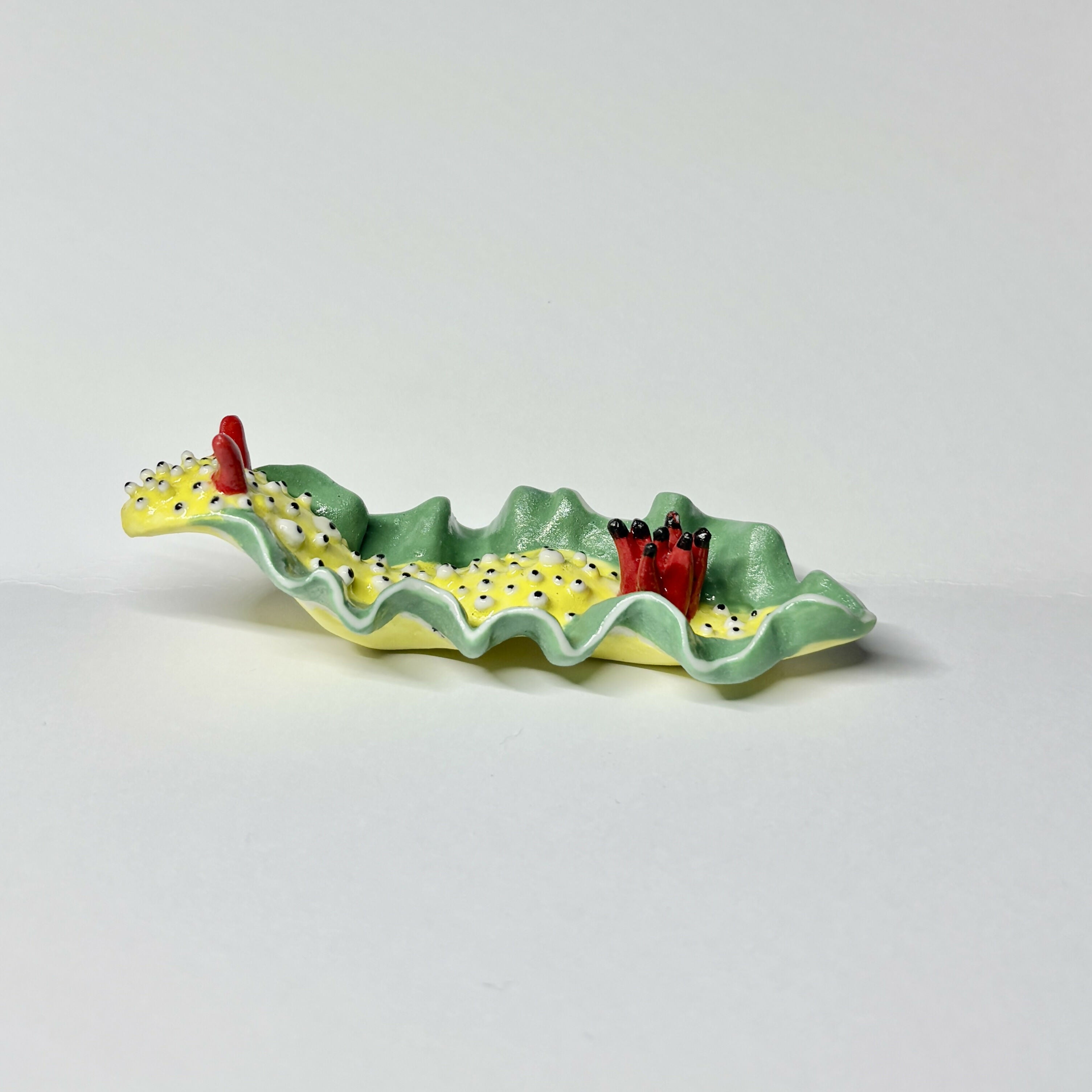 Yellow Porcelain Sea Slug