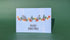 Pigeons On Christmas Lights Card