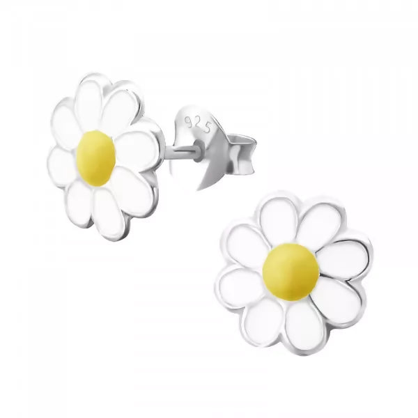 colour daisy