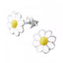 colour daisy