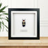 Banded Jewel Beetle (Chrysochroa buqueti) Handmade Box Frame