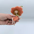 Flower Fairy