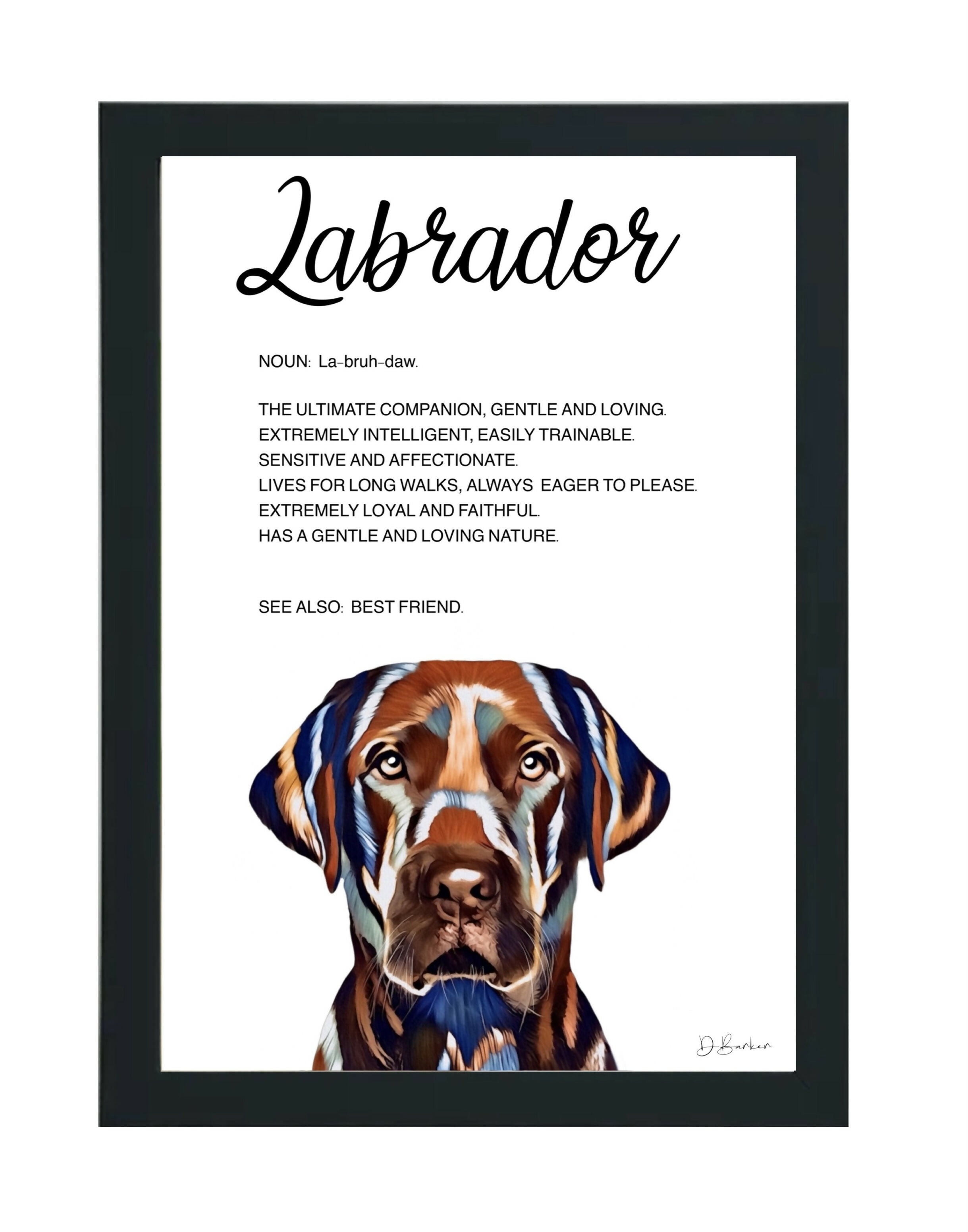 Labrador - Definition Quote - Framed Artwork.