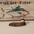 Single Puffin On Wood, No Legs