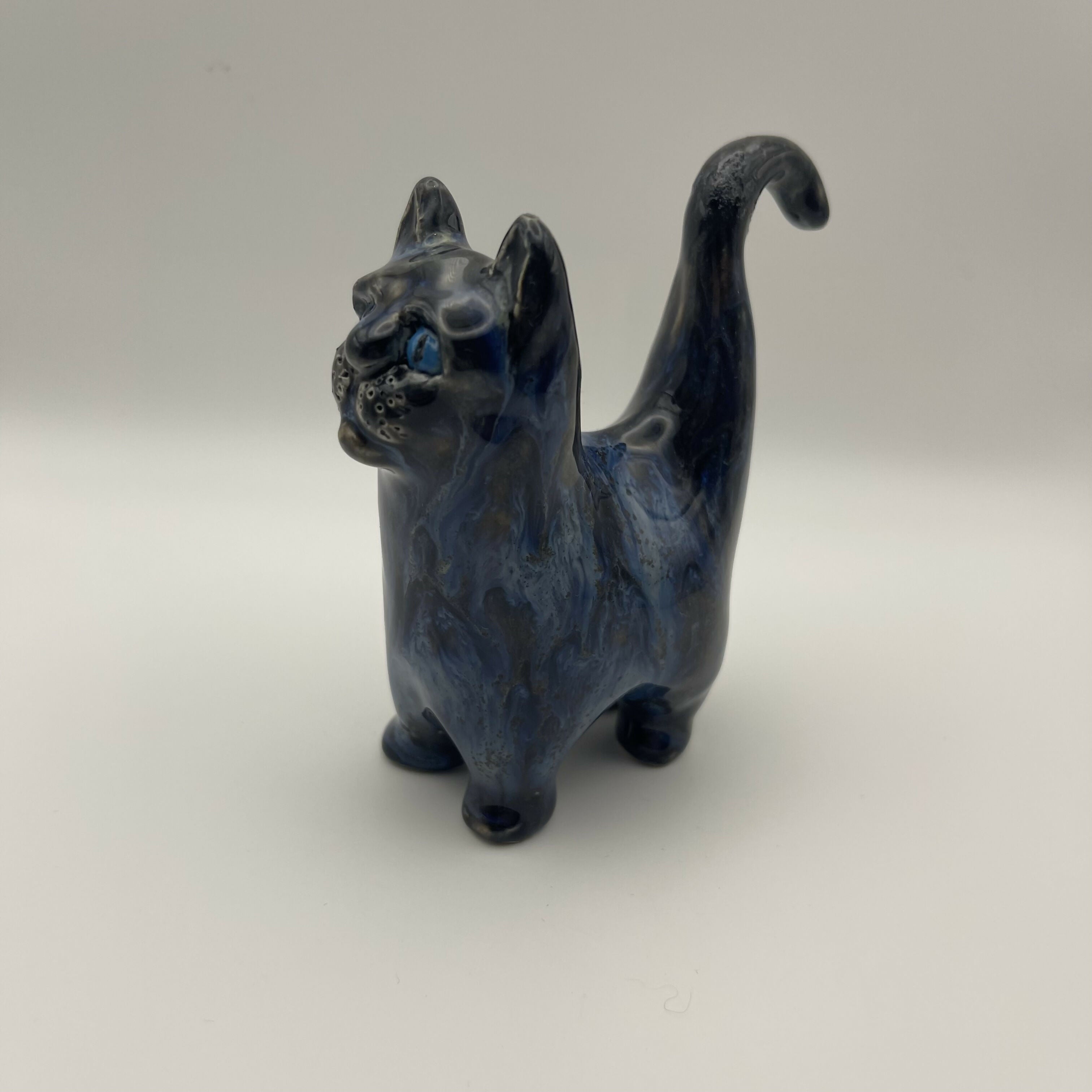 Blue Marble Cat
