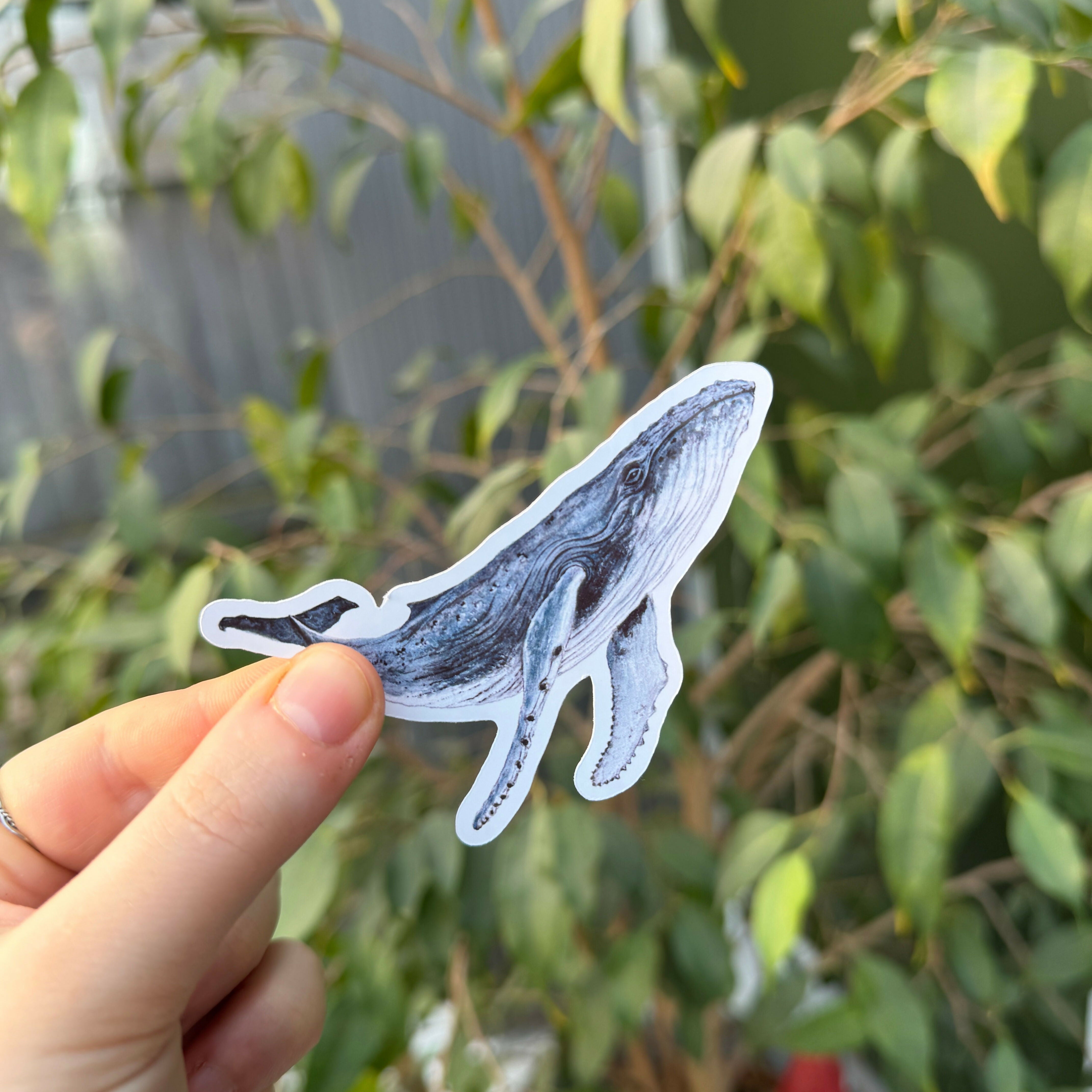 Wavy Whales - Gloss Sticker Pack