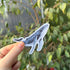 Wavy Whales - Gloss Sticker Pack