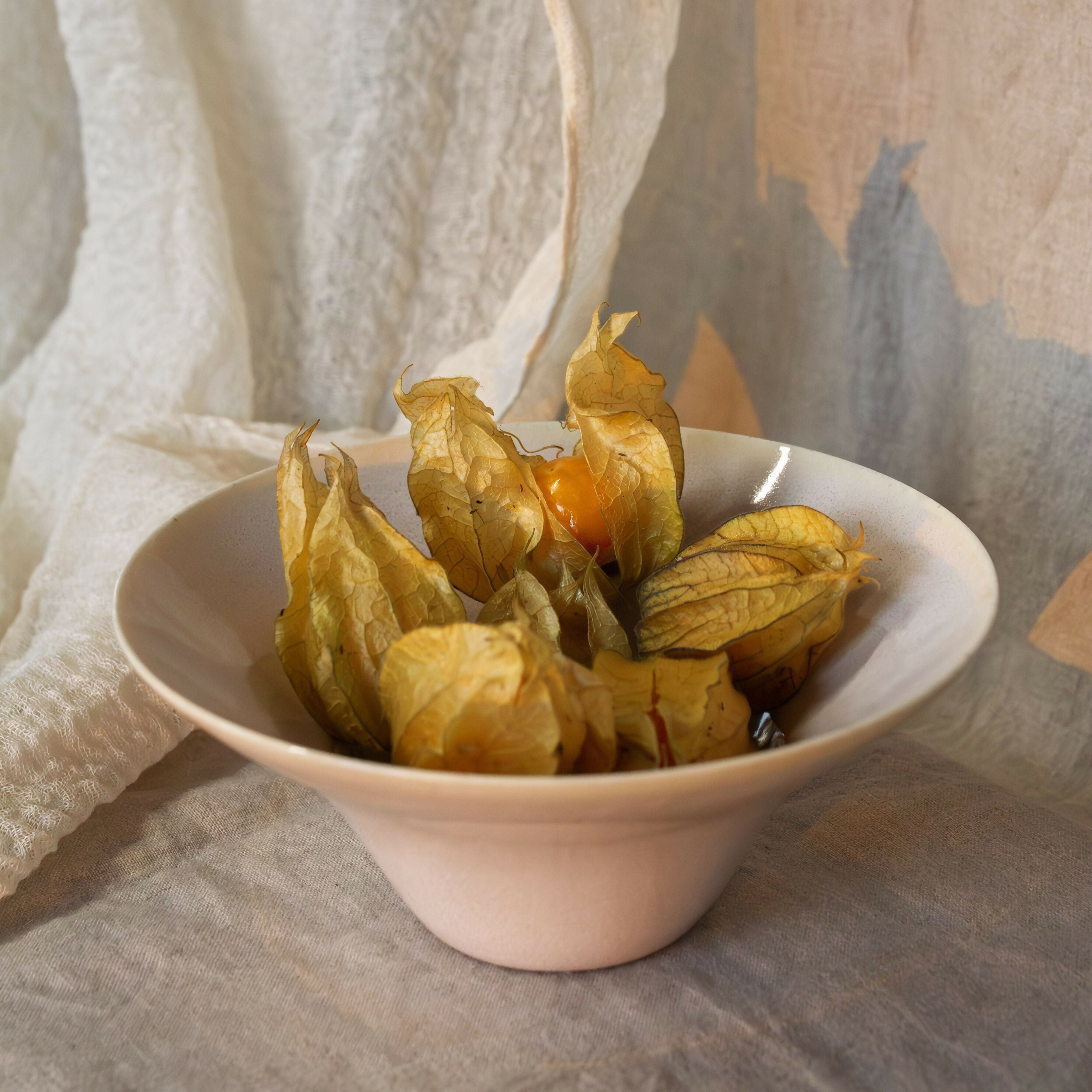 Hand Thrown Porcelain Wide Rimmed Bowl