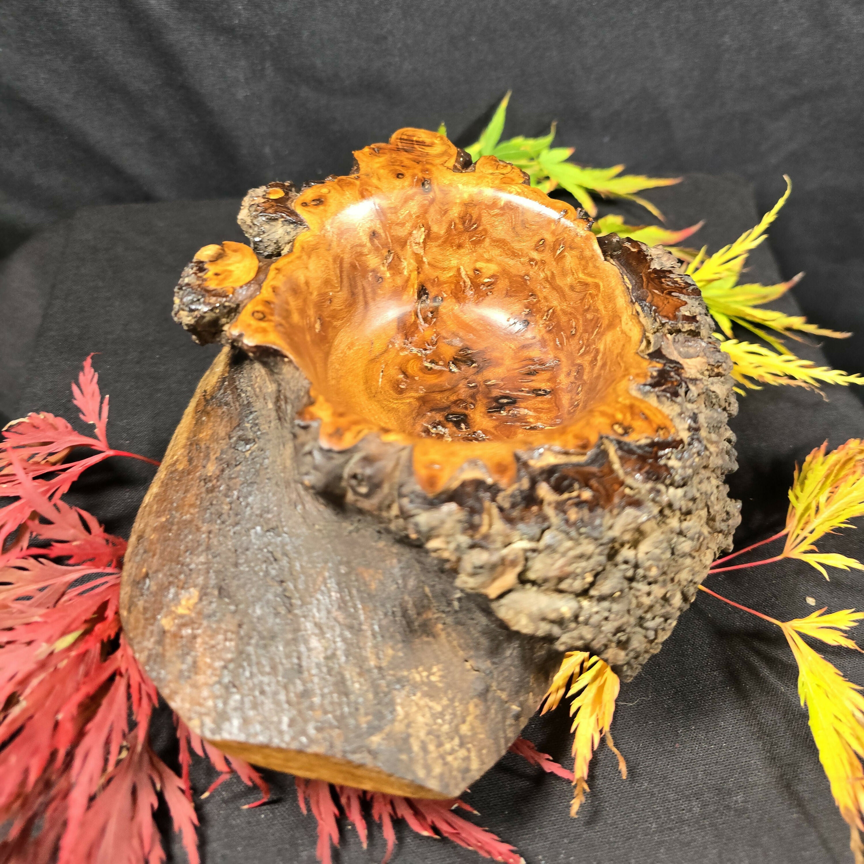 Rustic Elm Burr Log Bowl