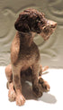 Ceramic German wirehaired pointer dog sculpture