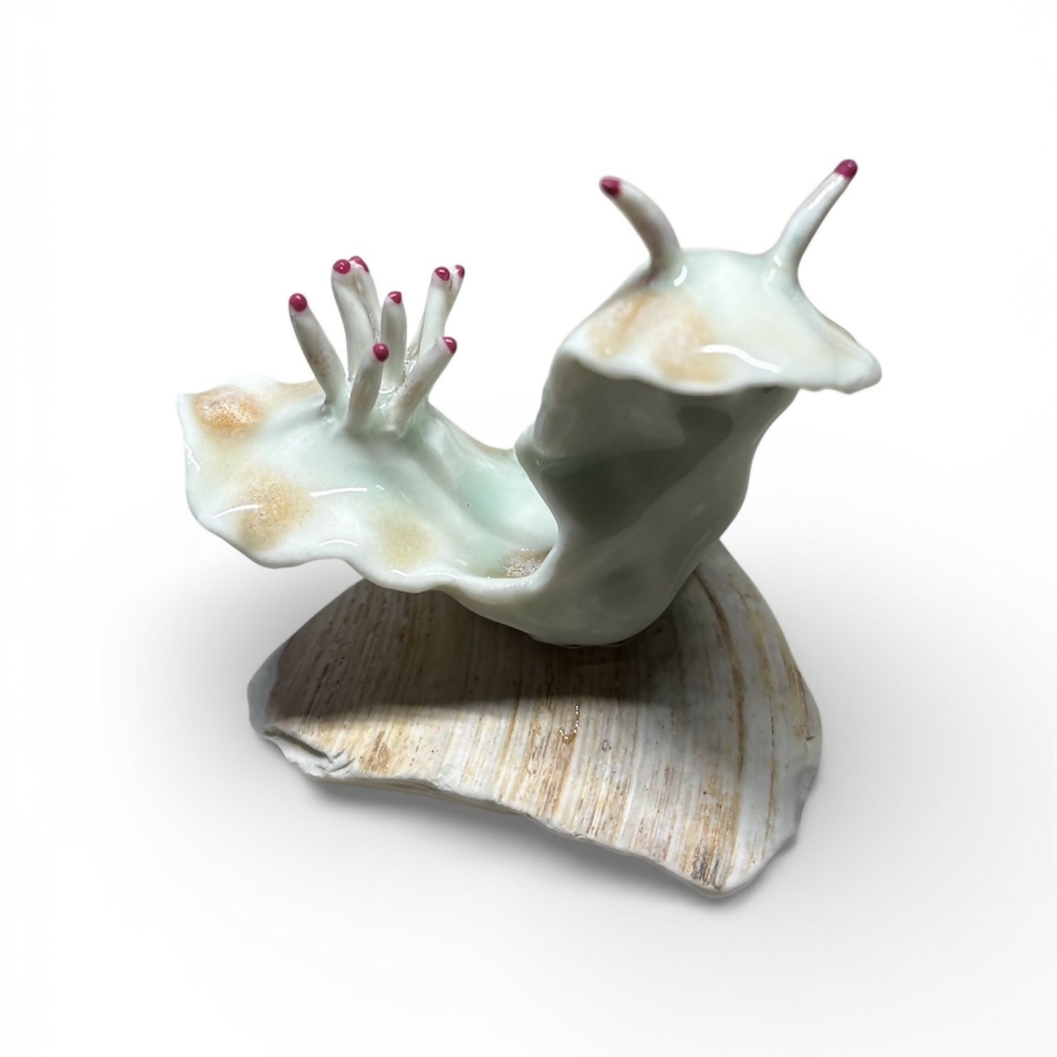 Sea Slug on a Shell Sculpture