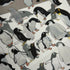 A5 Gentoo Penguin Glitter Sticker Sheet & Art Print