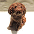 Ceramic Chocolate Cockerpoo Dog Sculpture