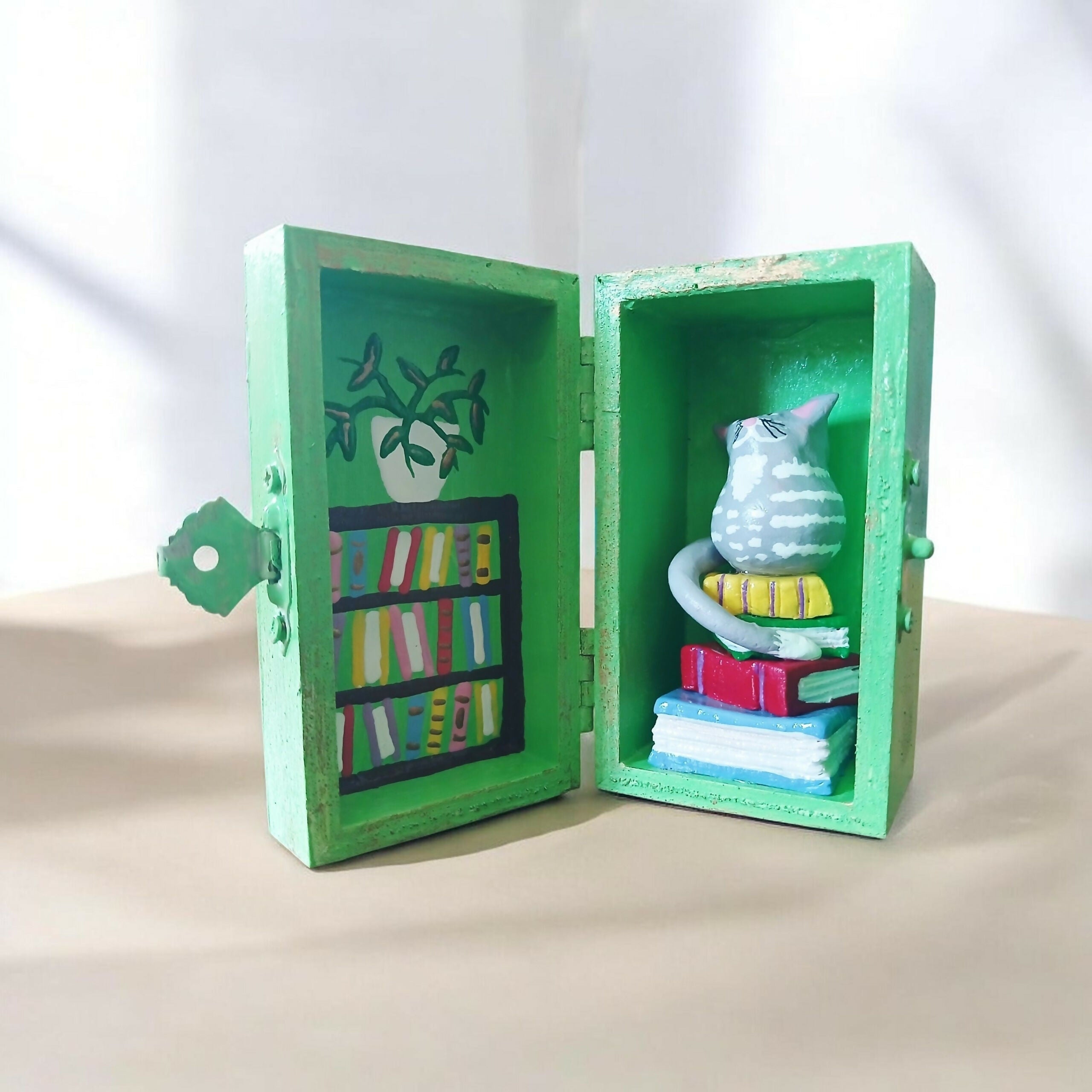 Bookcase and Cat Green Box