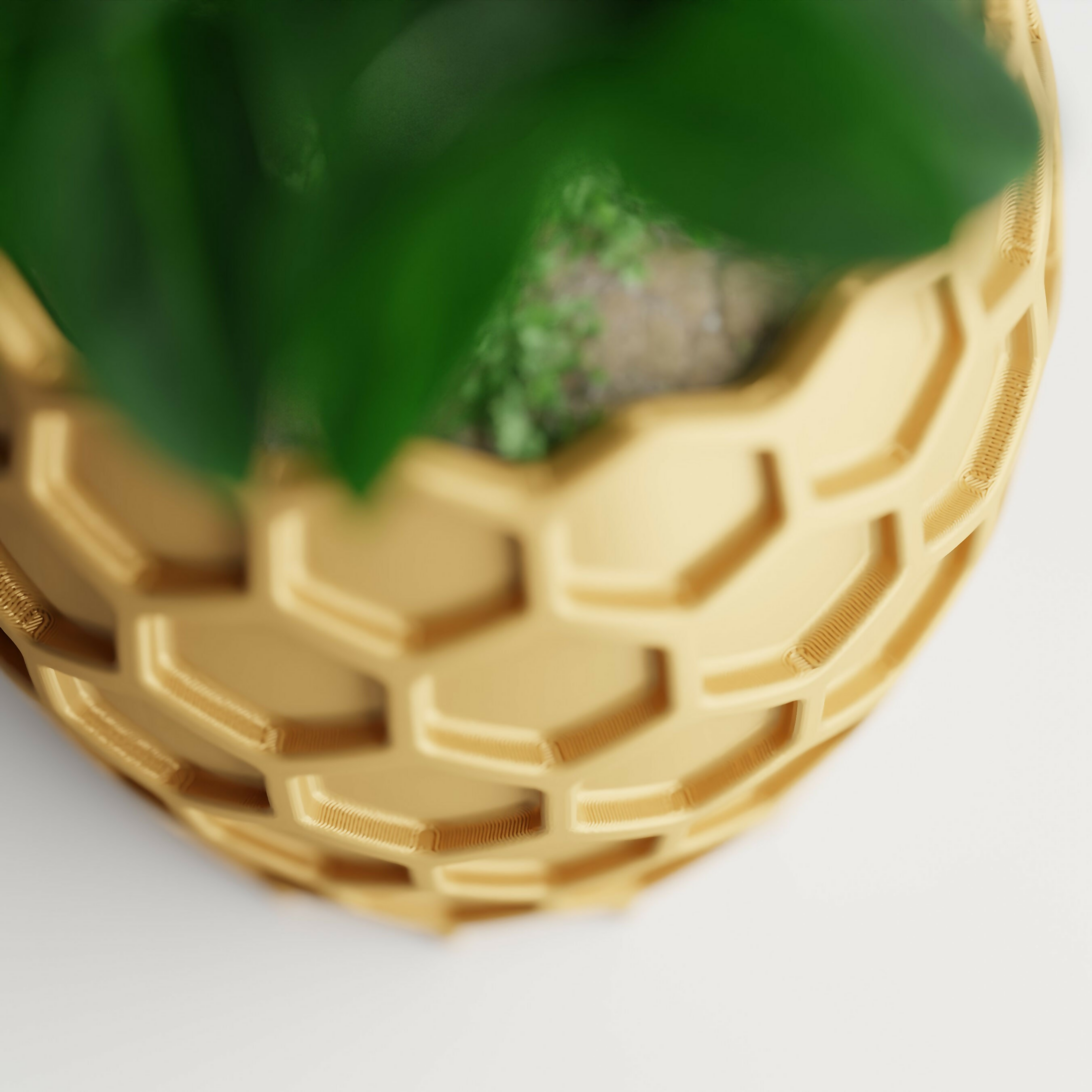 Beehavia Planter