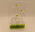 Fused Glass Snowdrop Tealight
