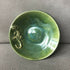 Green Gecko Dish