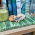 Whale - Humpback Whale - Wooden Pin