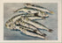Sardines - Hand Finished Print